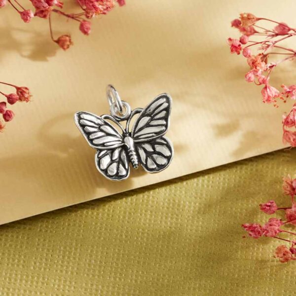 Fjäril silverhänge