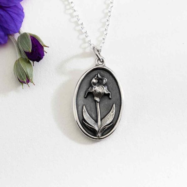Månadsblomma Februari - Iris Silverhänge